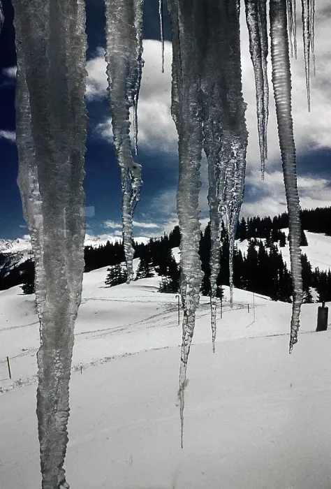 Framed Print : ASPEN COLORADO Framed Print : ASPEN COLORADO