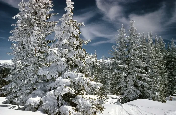 Framed Print : Aspen Colorado Framed Print : Aspen Colorado