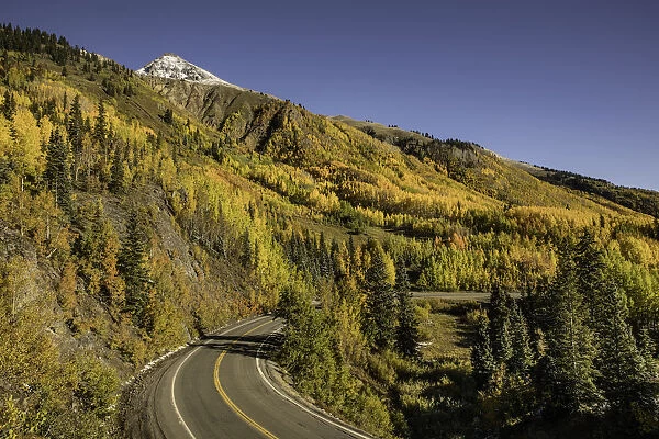 Aspen trees and Million Dollar Highway near Crystal Lake, Ouray, Colorado, USA
