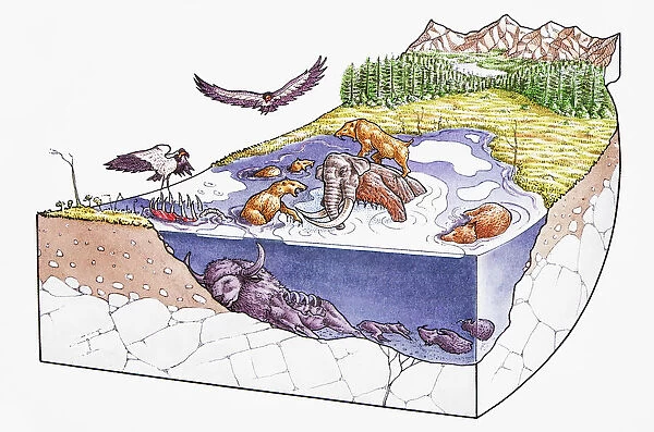 Asphalt lake with creatures above and below surface, during fossilization process