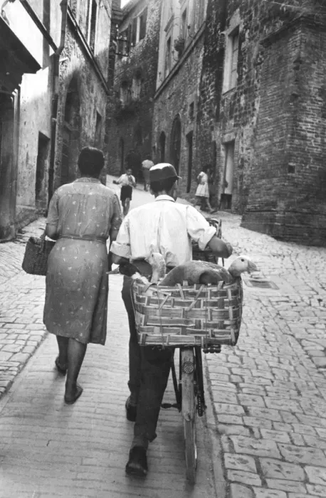 Framed Print : Assisi Peasants take their geese to the market Framed Print : Assisi Peasants take their geese to the market