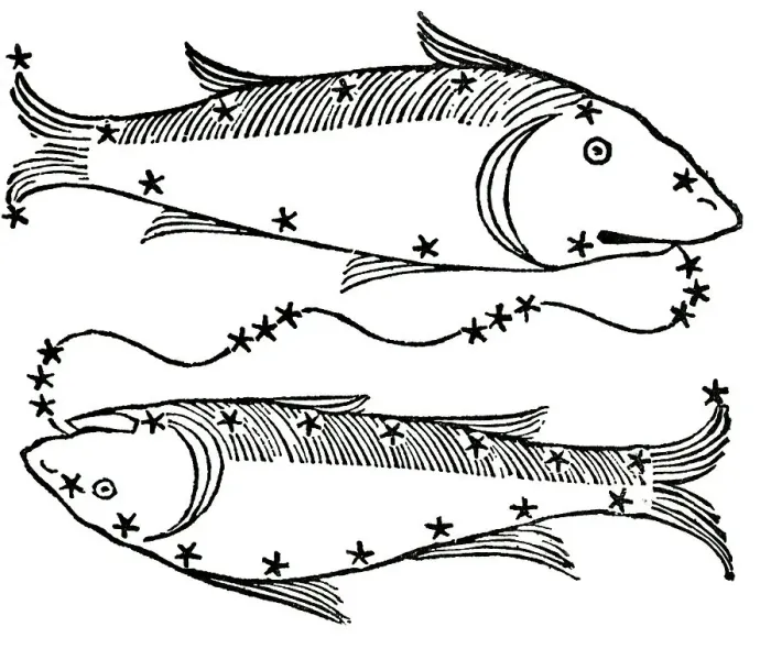 Framed Print : The Astrological Sign Of Pisces;The Fish Framed Print : The Astrological Sign Of Pisces;The Fish