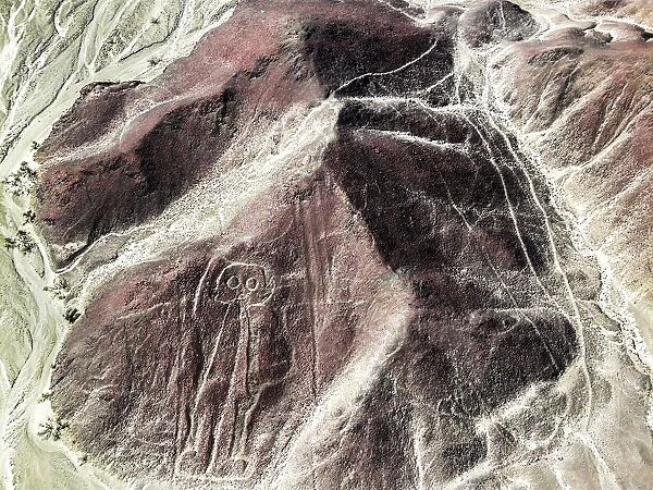 Astronaut of nazca