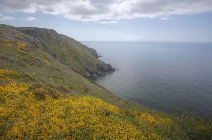 Framed Print : Atlantic Coast, Devon, England, United Kingdom