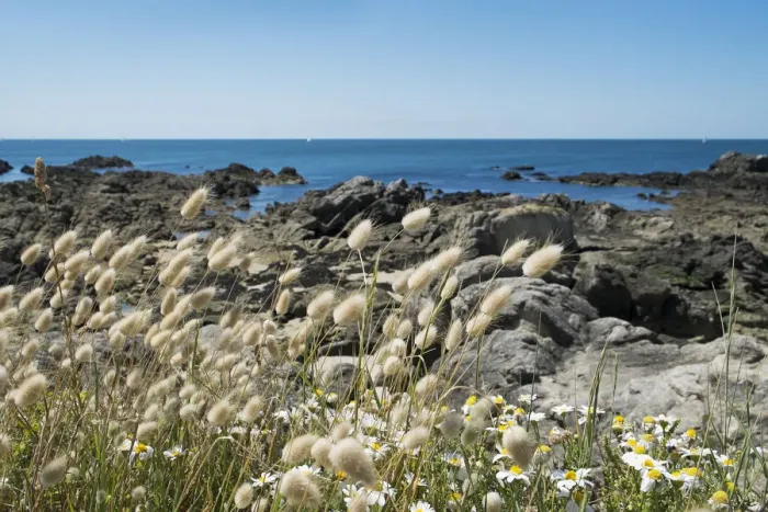Framed Print : Atlantic Ocean, Le Croisic, West France, France, Loire Atlantique, Sea, Nature, Rocks Framed Print : Atlantic Ocean, Le Croisic, West France, France, Loire Atlantique, Sea, Nature, Rocks