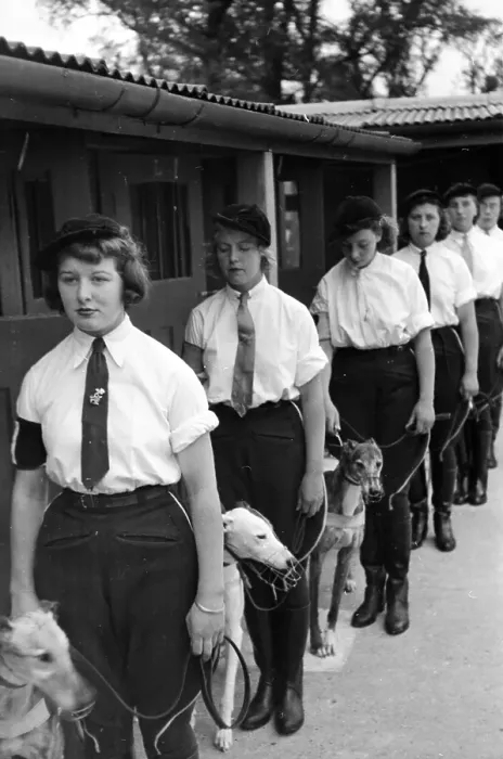 Framed Print : Attendants And Dogs Framed Print : Attendants And Dogs