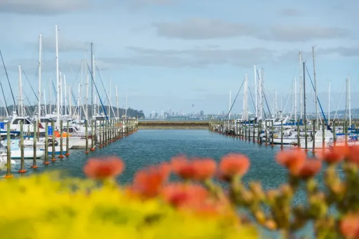 Framed Print : Auckland Harbour sailing Framed Print : Auckland Harbour sailing