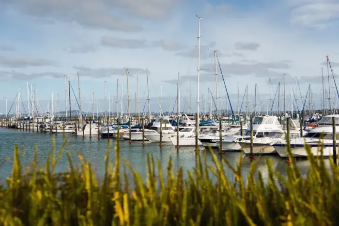 Framed Print : Auckland Harbour Sailing Framed Print : Auckland Harbour Sailing
