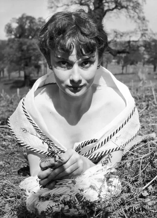 Framed Print : Audrey Hepburn Framed Print : Audrey Hepburn