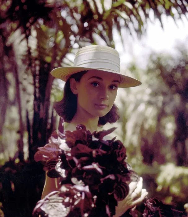 Framed Print : Audrey Hepburn With Flowers Framed Print : Audrey Hepburn With Flowers