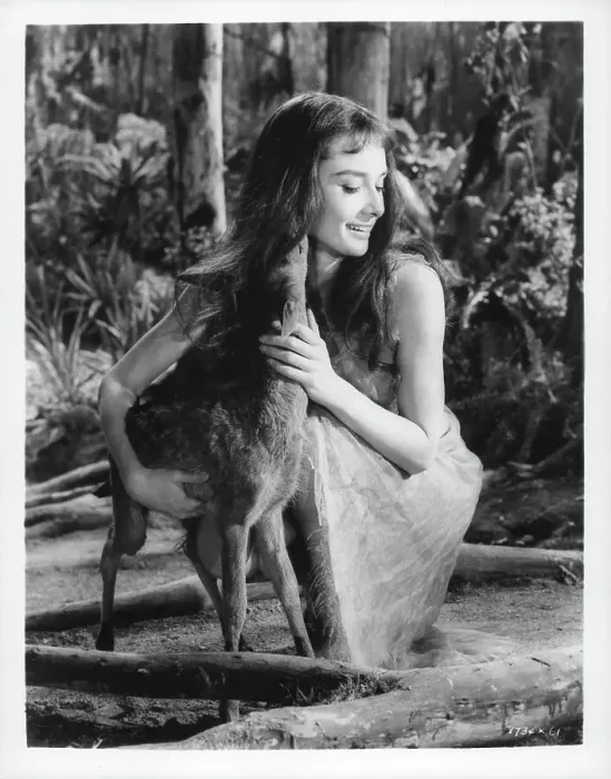 Framed Print : Audrey Hepburn In The Green Mansions Framed Print : Audrey Hepburn In The Green Mansions
