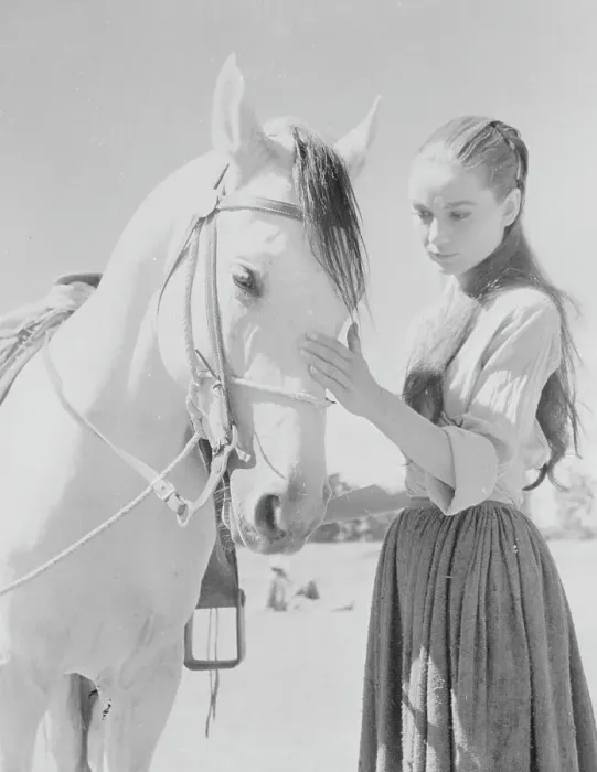 Framed Print : Audrey Hepburn with a Horse in The Unforgiven