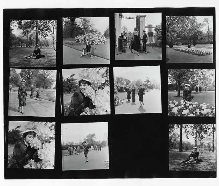 Framed Print : Audrey Hepburn At Kew Gardens Framed Print : Audrey Hepburn At Kew Gardens