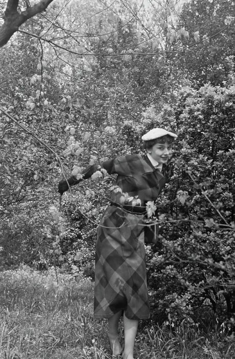 Framed Print : Audrey Hepburn At Kew Gardens Framed Print : Audrey Hepburn At Kew Gardens