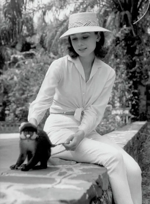 Framed Print : Audrey Hepburn With Monkey Framed Print : Audrey Hepburn With Monkey