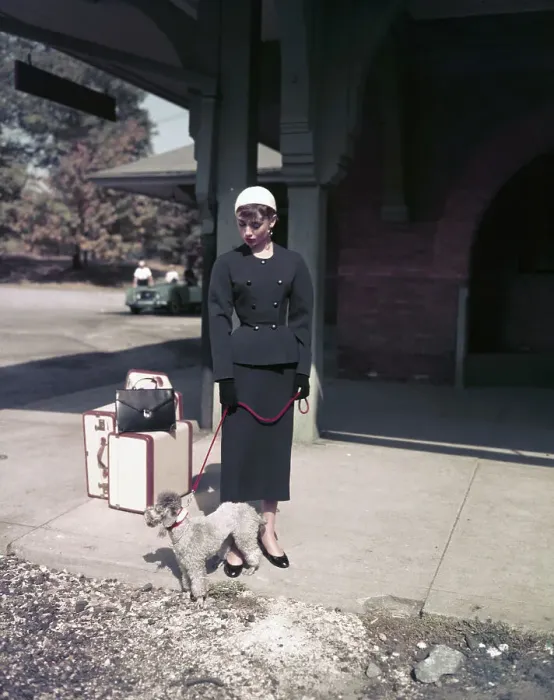 Framed Print : Audrey Hepburn with a Poodle in Sabrina Framed Print : Audrey Hepburn with a Poodle in Sabrina
