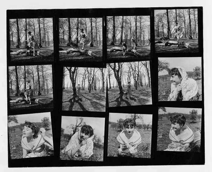 Framed Print : Audrey Hepburn In Richmond Park Framed Print : Audrey Hepburn In Richmond Park