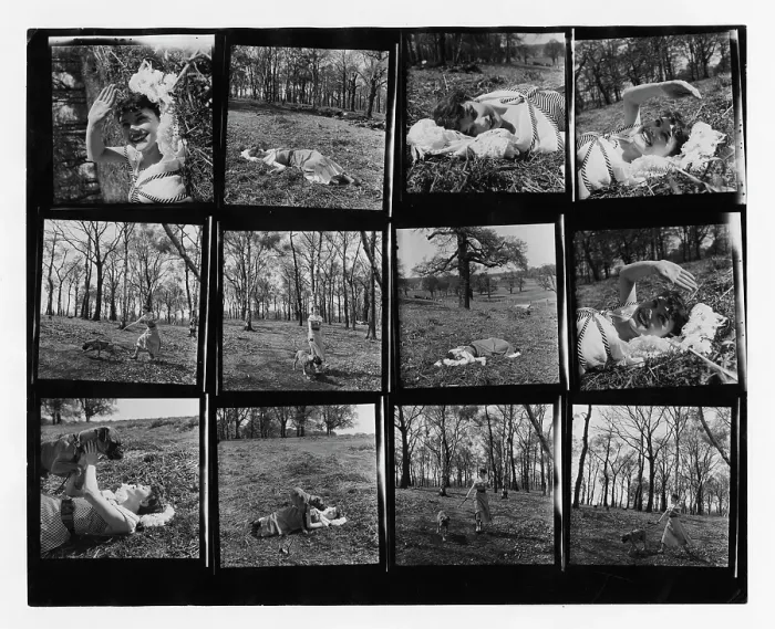 Framed Print : Audrey Hepburn In Richmond Park Framed Print : Audrey Hepburn In Richmond Park