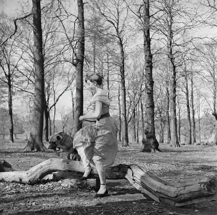 Framed Print : Audrey Hepburn In Richmond Park Framed Print : Audrey Hepburn In Richmond Park