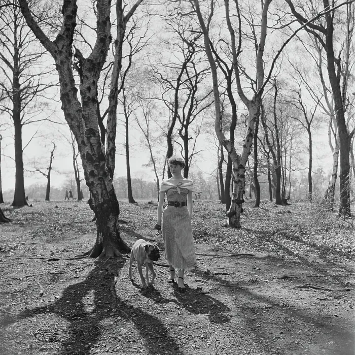 Framed Print : Audrey Hepburn In Richmond Park Framed Print : Audrey Hepburn In Richmond Park