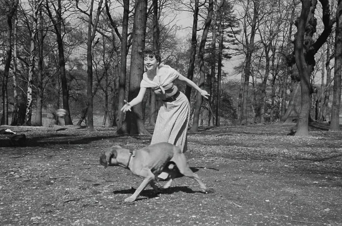 Framed Print : Audrey Hepburn In Richmond Park Framed Print : Audrey Hepburn In Richmond Park