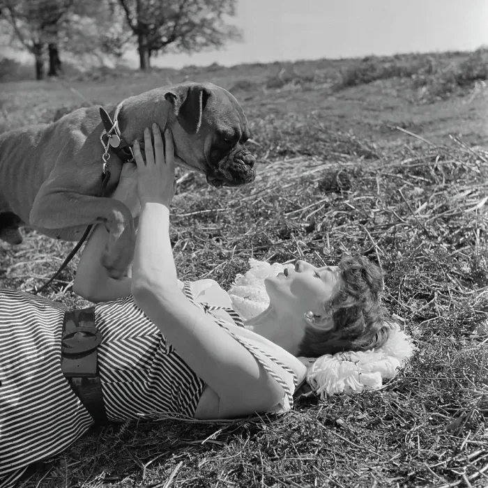 Framed Print : Audrey Hepburn In Richmond Park Framed Print : Audrey Hepburn In Richmond Park