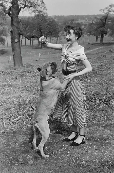 Framed Print : Audrey Hepburn In Richmond Park Framed Print : Audrey Hepburn In Richmond Park