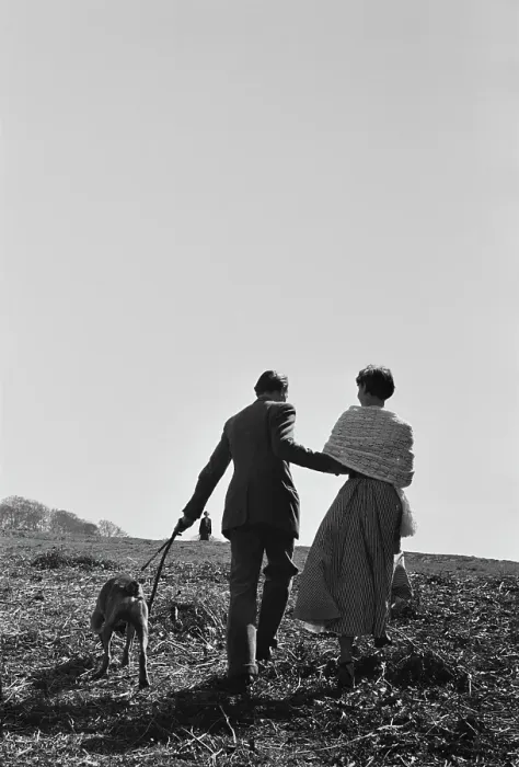 Framed Print : Audrey Hepburn In Richmond Park Framed Print : Audrey Hepburn In Richmond Park