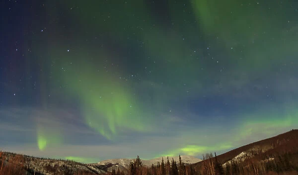 Aurora borealis display above Chena Hot Springs Resort 60 miles from Fairbanks, Alaska, USA