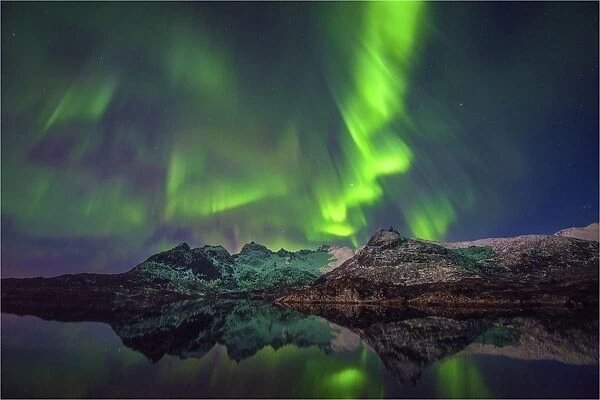 Aurora Borealis at night, Lofoten Peninsular, Norway