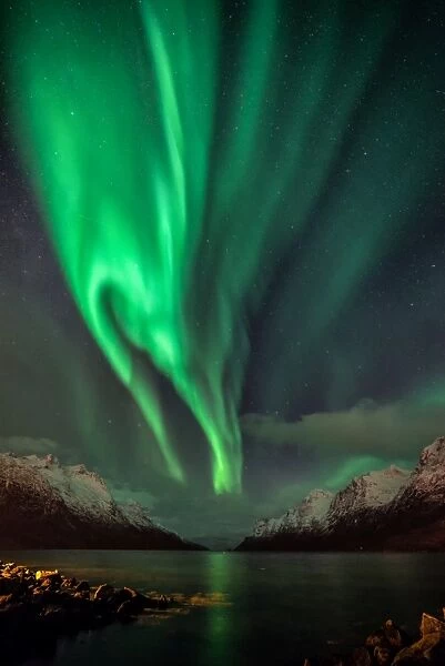 Aurora over fjord