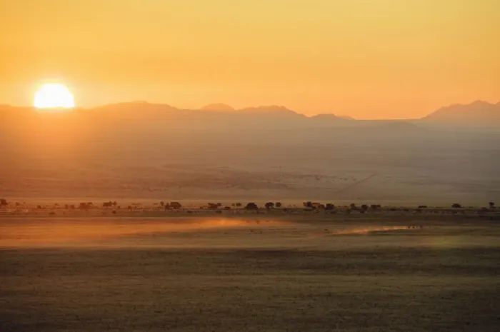 Framed Print : aus, barren, color image, colour image, desert, dusk, dust, full length, herd, horizontal