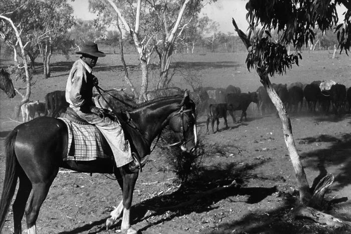 Framed Print : Aussie Rancher Framed Print : Aussie Rancher