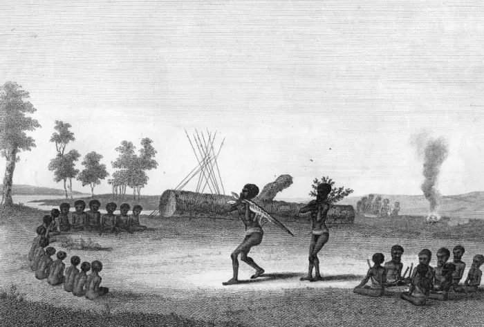 Framed Print : Australian Natives Framed Print : Australian Natives