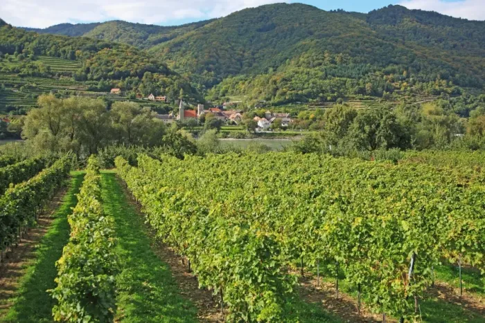Framed Print : Austria, Wachau, Schwallenbach Framed Print : Austria, Wachau, Schwallenbach