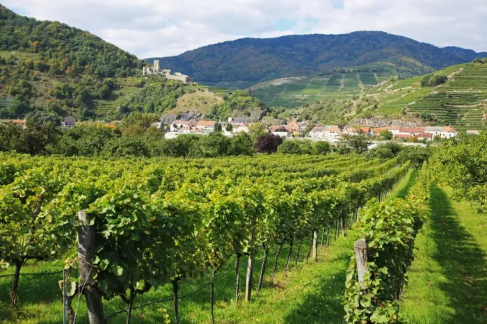 Framed Print : Austria, Wachau, Spitz an der Donau