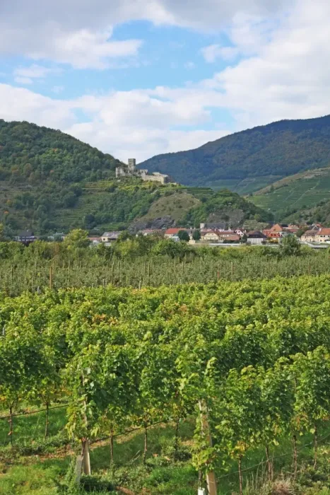 Framed Print : Austria, Wachau, Spitz an der Donau Framed Print : Austria, Wachau, Spitz an der Donau