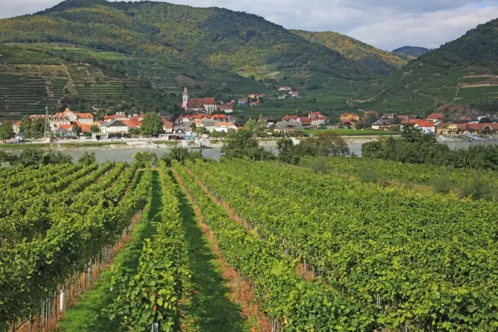 Framed Print : Austria, Wachau, Spitz an der Donau Framed Print : Austria, Wachau, Spitz an der Donau