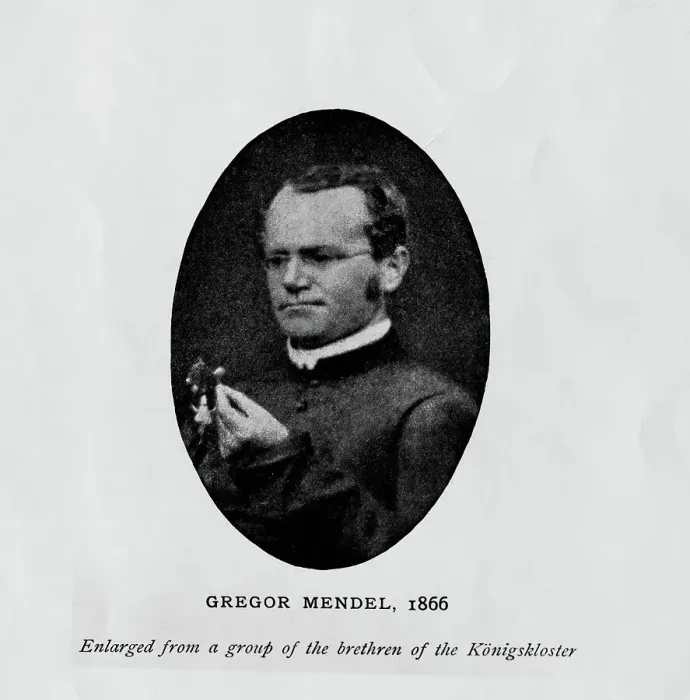 Framed Print : Austrian Botanist Gregor Mendel Framed Print : Austrian Botanist Gregor Mendel
