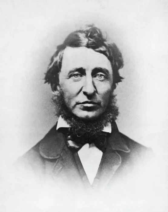 Framed Print : Author Henry David Thoreau Framed Print : Author Henry David Thoreau