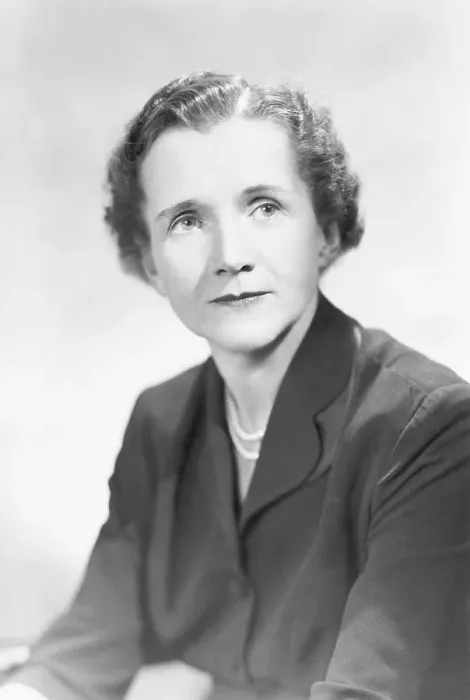 Framed Print : Author Rachel L. Carson In Seated Pose Framed Print : Author Rachel L. Carson In Seated Pose