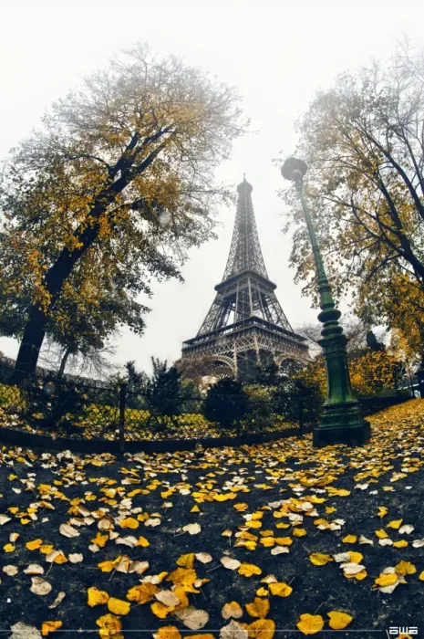 Framed Print : Autumn in Paris Framed Print : Autumn in Paris