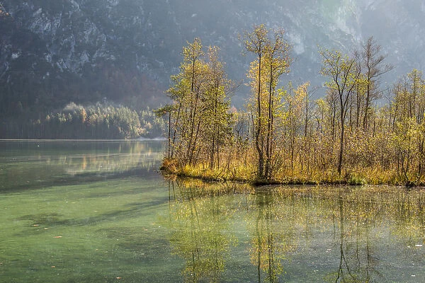 Autumn at Almsee lake, Gruenau im Almtal, Upper Austria, Austria