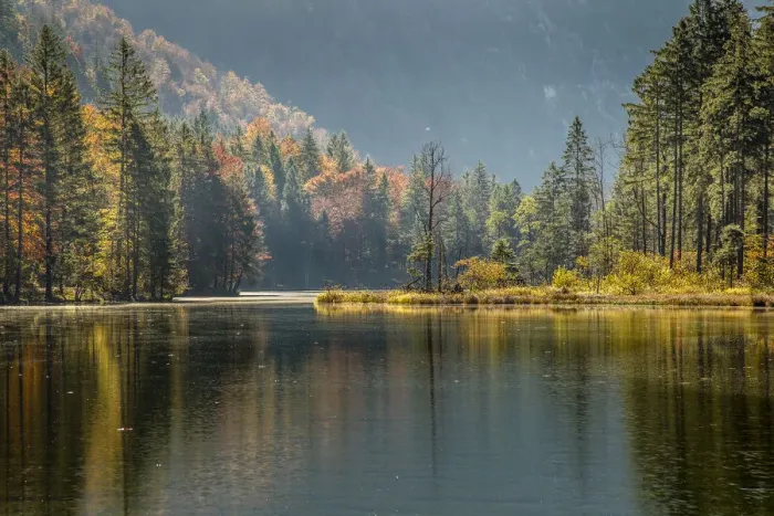 Framed Print : Autumn at Almsee lake, Gruenau im Almtal, Upper Austria, Austria Framed Print : Autumn at Almsee lake, Gruenau im Almtal, Upper Austria, Austria