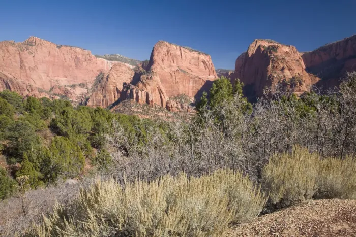 Framed Print : autumn, beauty in nature, clear sky, color image, day, grass, horizontal, kolob canyon Framed Print : autumn, beauty in nature, clear sky, color image, day, grass, horizontal, kolob canyon
