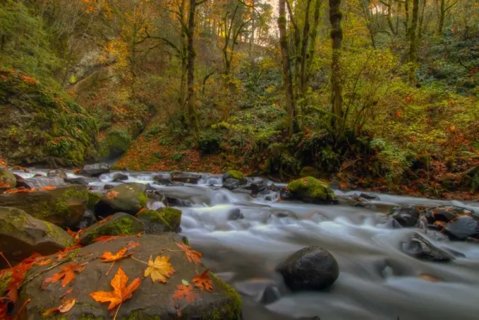 Framed Print : Autumn in Bridal Veil Falls State Park Oregon
