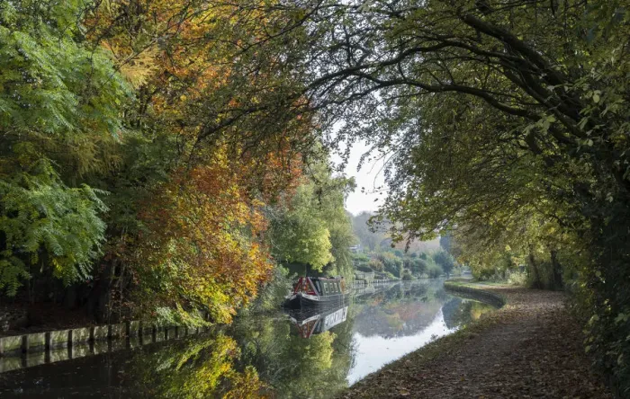 Framed Print : Autumn on the canal