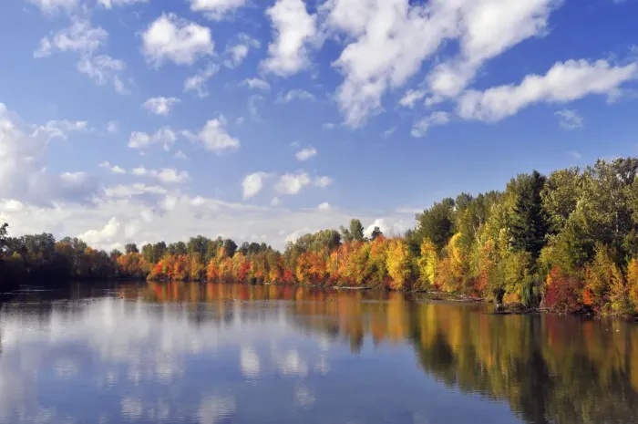 Framed Print : Autumn colored trees on shore of Johnson Lake, Portland, Oregon, USA Framed Print : Autumn colored trees on shore of Johnson Lake, Portland, Oregon, USA