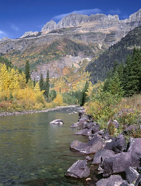 Autumn colored trees along stream with rocky mountains in background, McDonald Creek, Glacier National Park, Montana, USA