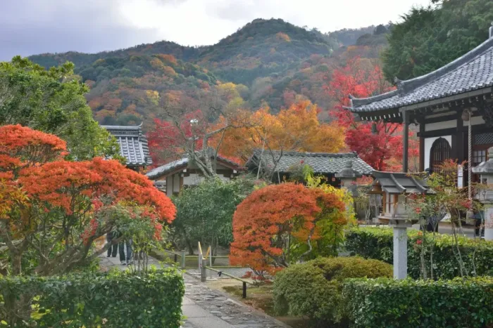 Framed Print : Autumn Colors in Kyoto, Japan Framed Print : Autumn Colors in Kyoto, Japan